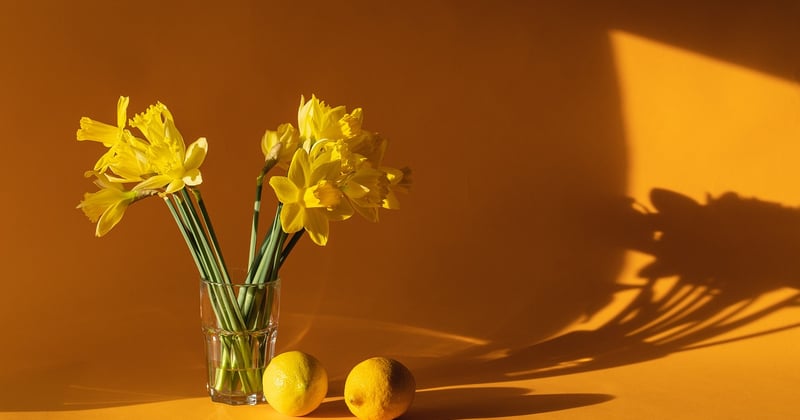 Objets connectés pour la maison intelligente : transformez votre quotidien